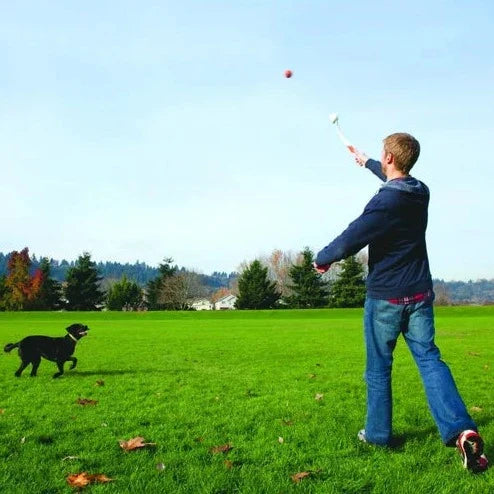 Chuckit Junior Medium Ball Launcher: Perfect Fetching Fun for Your Pup!
