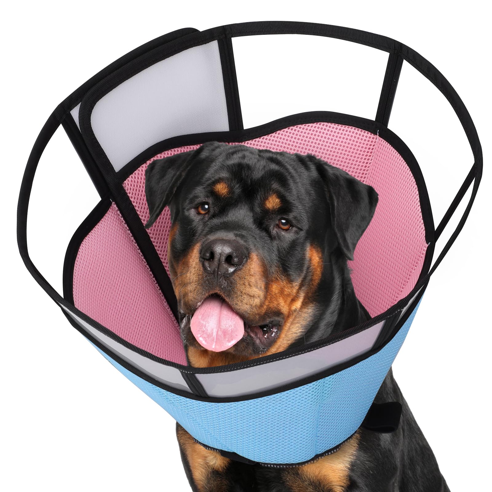 Dog Cone for Surgery Recovery - Comfortable and Protective Cone for Dogs