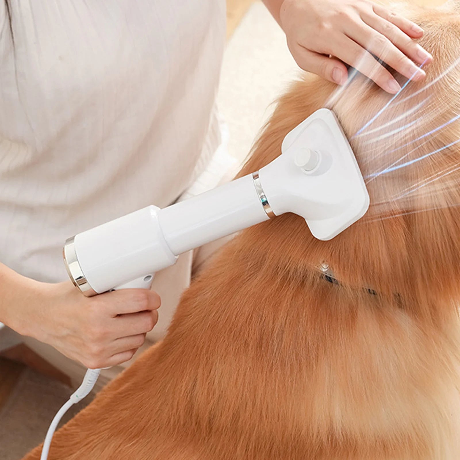 Paw Prize Hair Dryer: Grooming Care Tool with Adjustable Temperature Low Noise Pet Dog