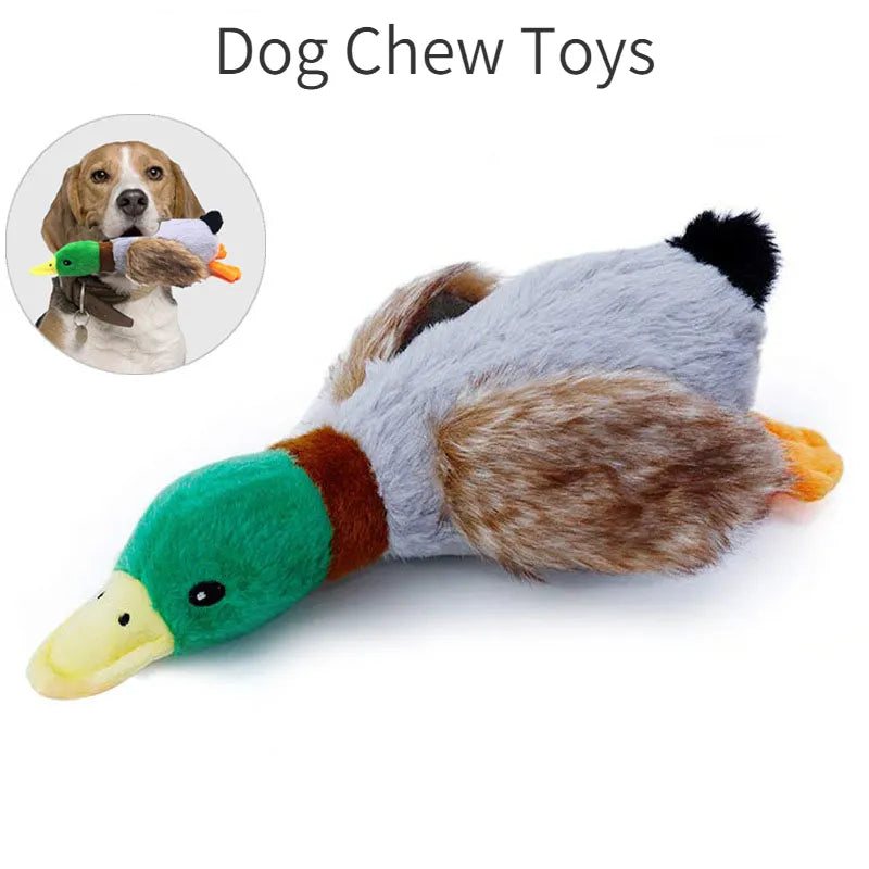 Ducky Toy