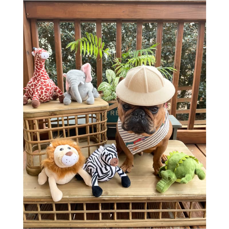 Safari Toy Collection