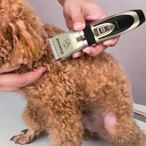 Paw Prize Cordless Rechargeable Professional Dog Hair Clippers