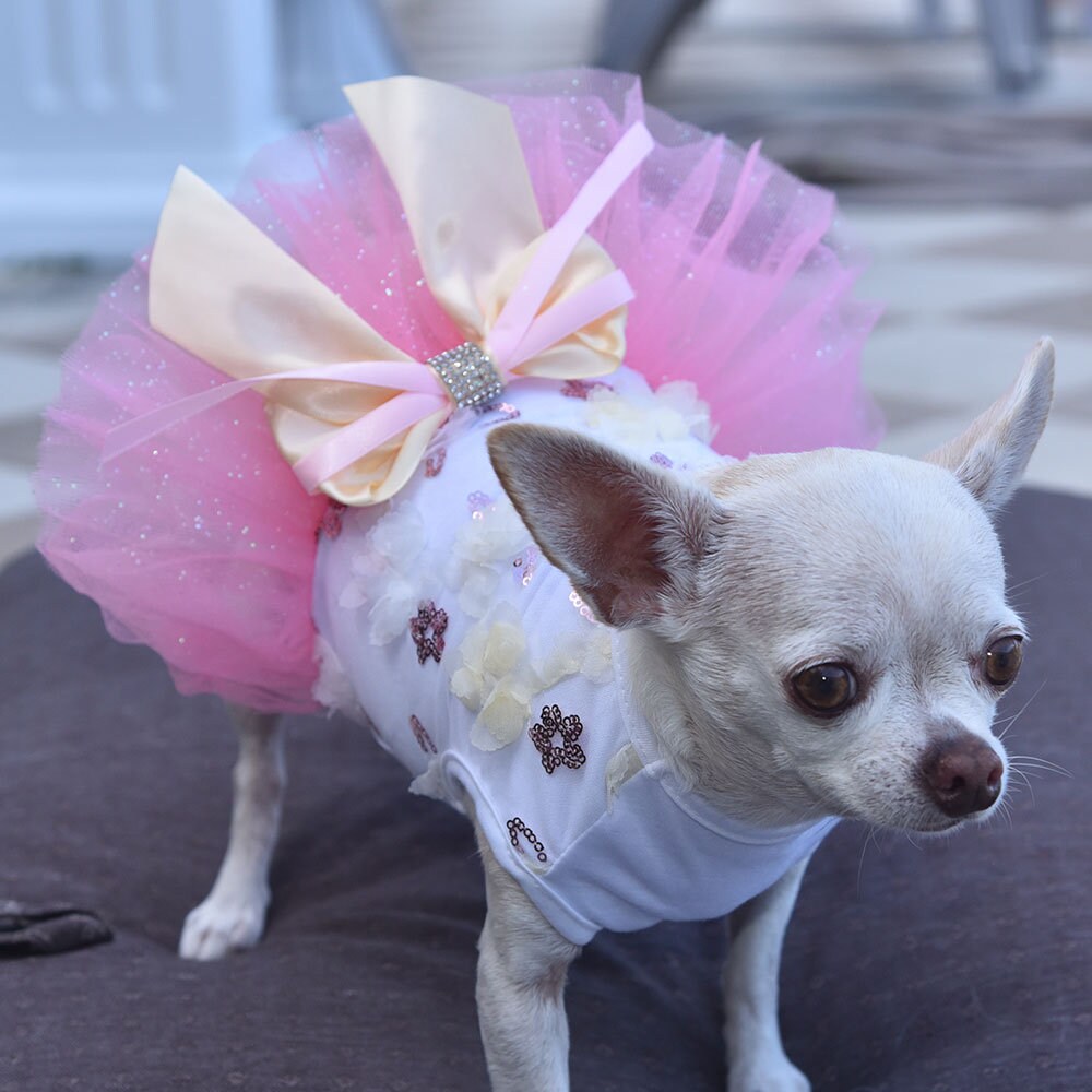 Dresses Sweet Candy Colored Dog Party Dress With Sparkly skirt