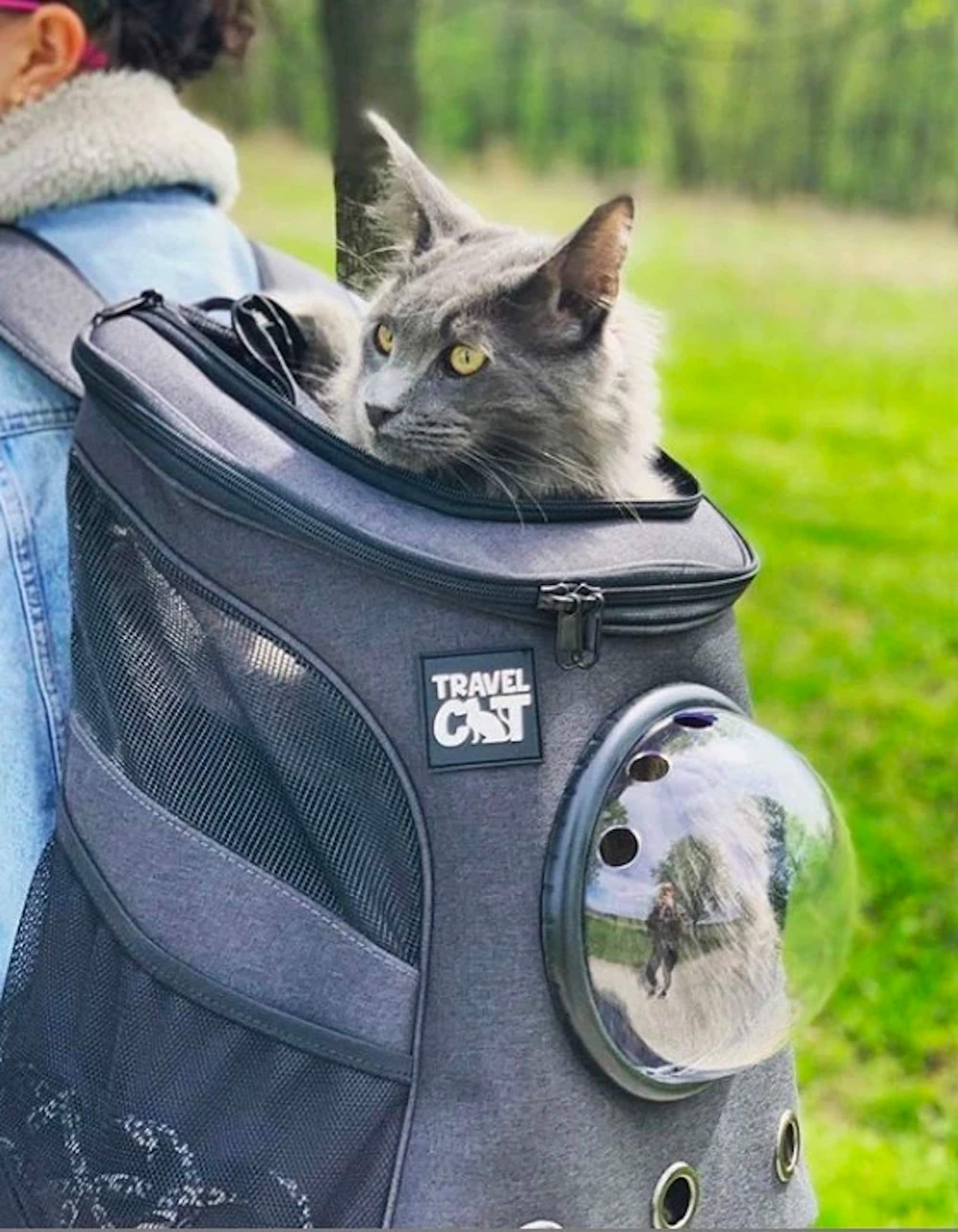 Paw Prize The fat cat backpack