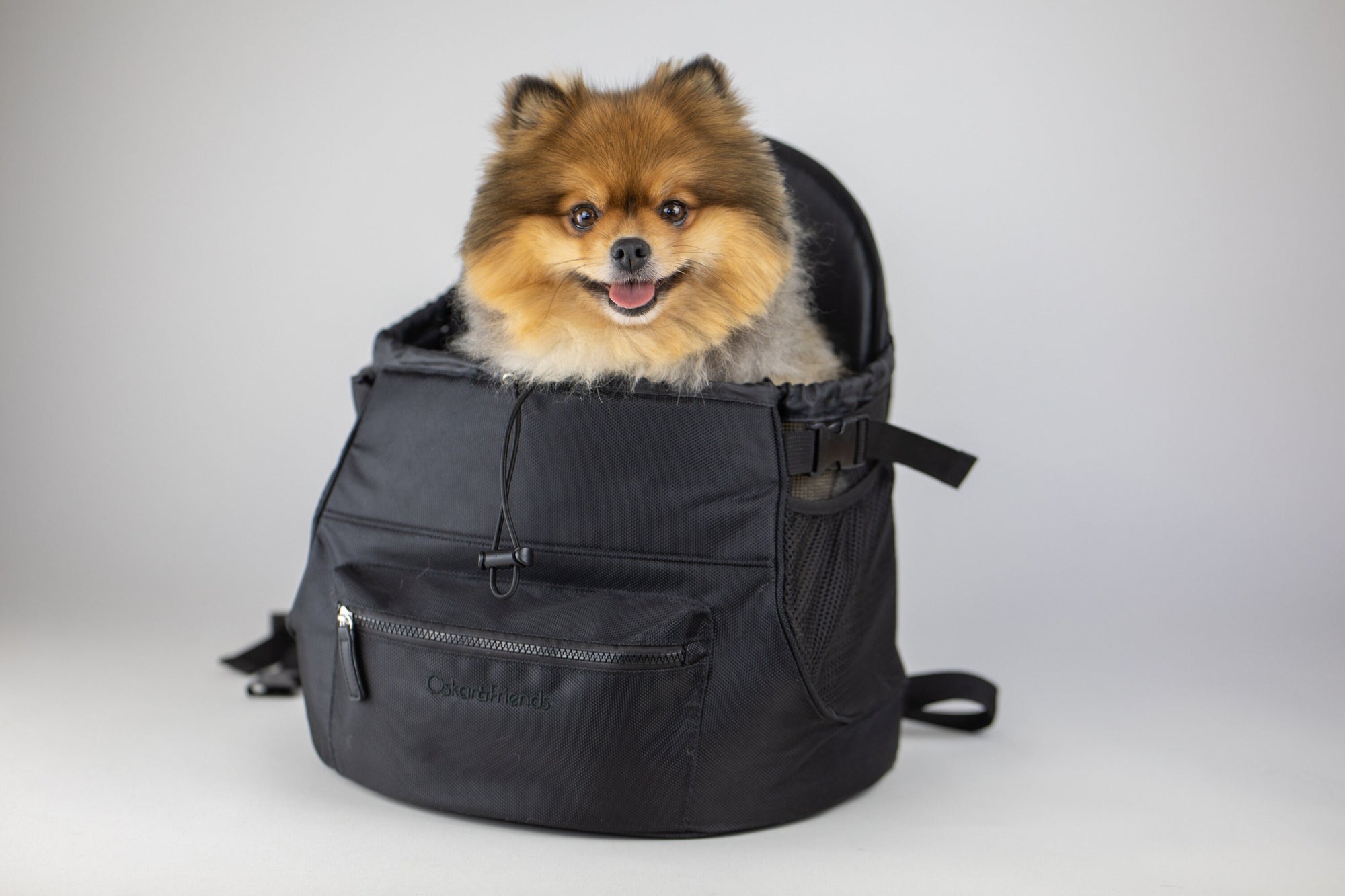 Paw Prize Backpack Dog Carrier