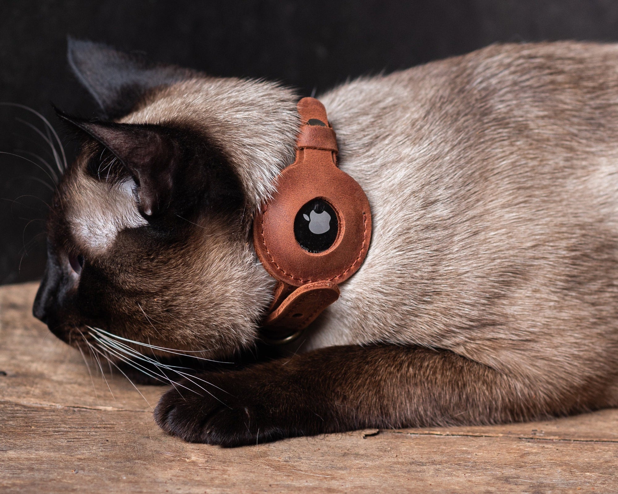 Personalized Leather  Collar with AirTag Holder for cat