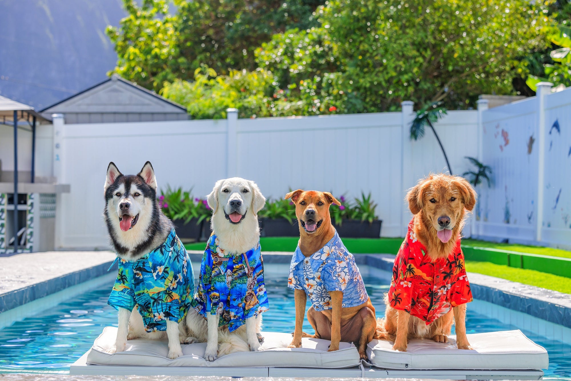 Paw Prize  Pet Clothes Aloha Shirts Summer Party