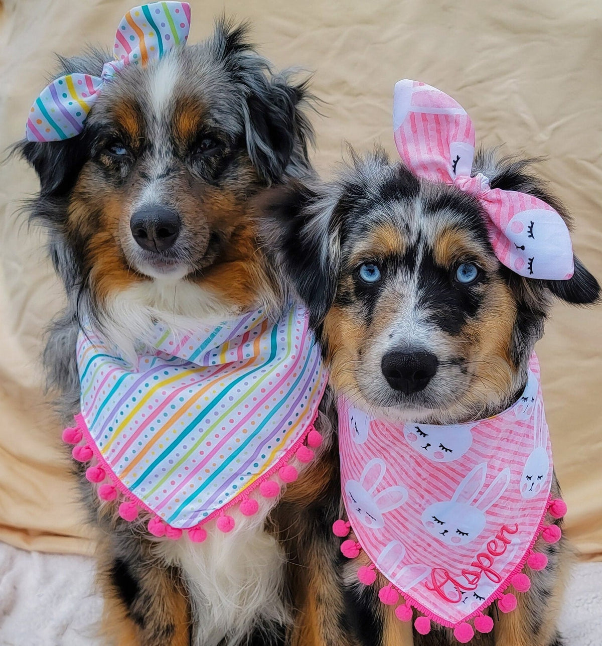 Easter Bunny Striped Dog Bandana, Tie &amp; Snap Style, Personalized Embroidery, Reversible