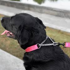 Train Safely with Nylon Reflective Half Chain Martingale Dog Choke Collar