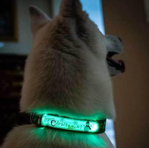 Paw Prime Christmas/Winter LED Collars
