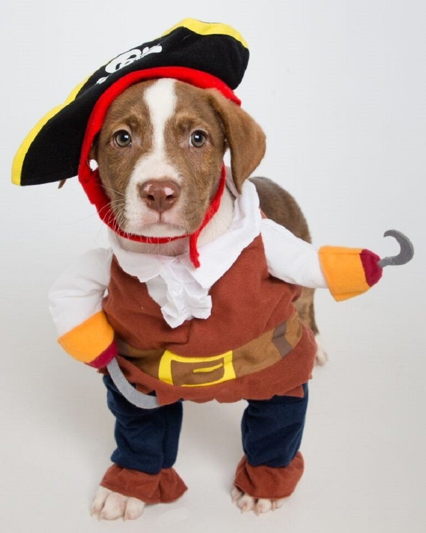 Paw Prime Pirate Dog/Cat Costume