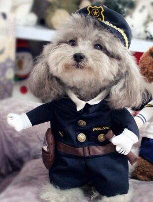 Paw Prime Police Dog Costume