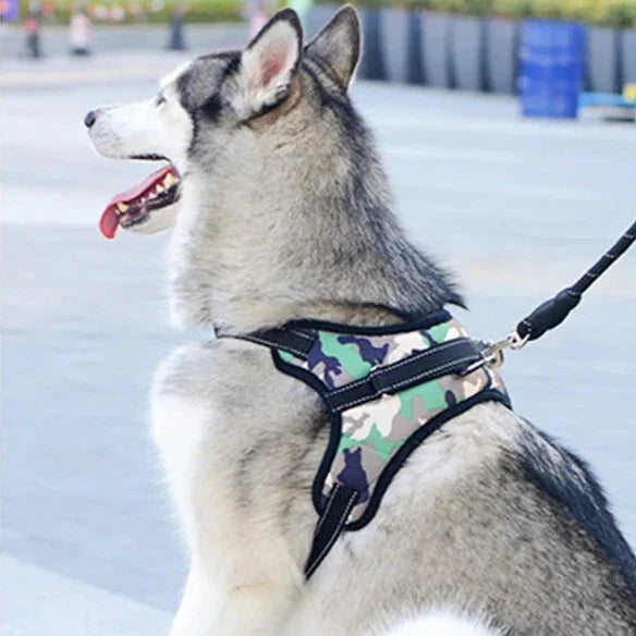 Walk in Comfort and Style: No-Pull Dog Pet Harness