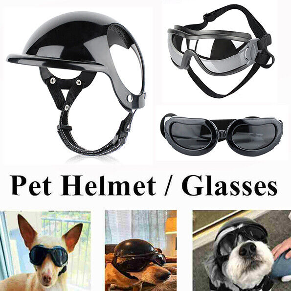 Small Pet Motorcycle Safety Helmet: Protect Your Cat, Dog, or Puppy with this Bike Accessory