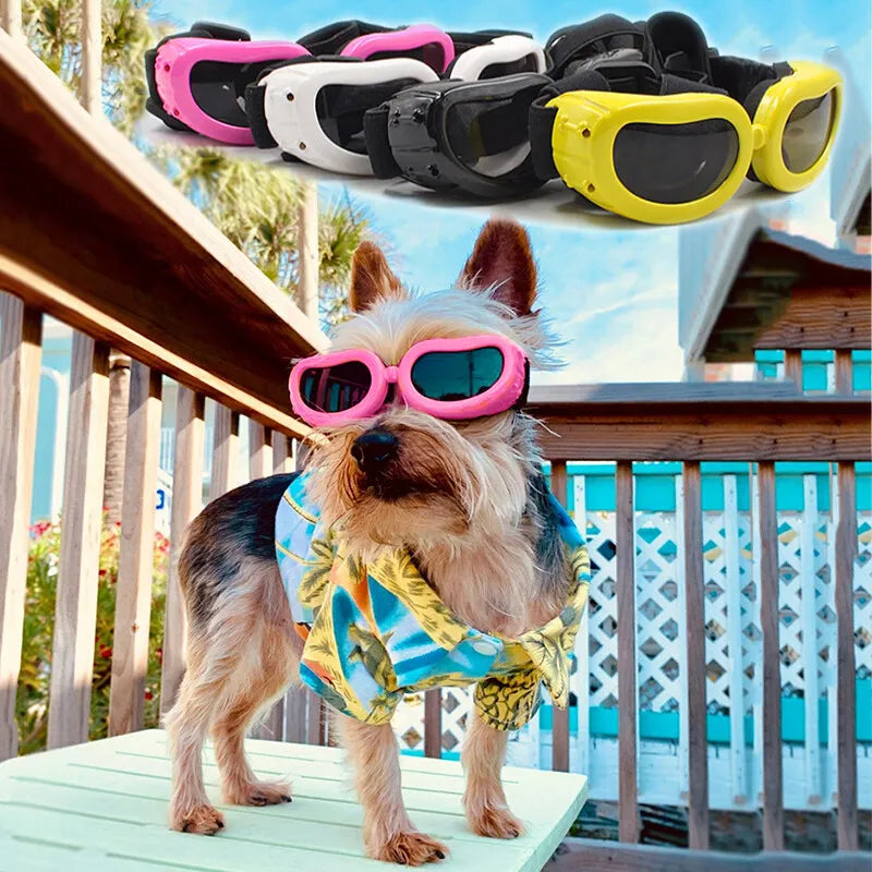 Pet Protection Small Doggles Dog Sunglasses: UV Protection and Style for Your Canine Companion