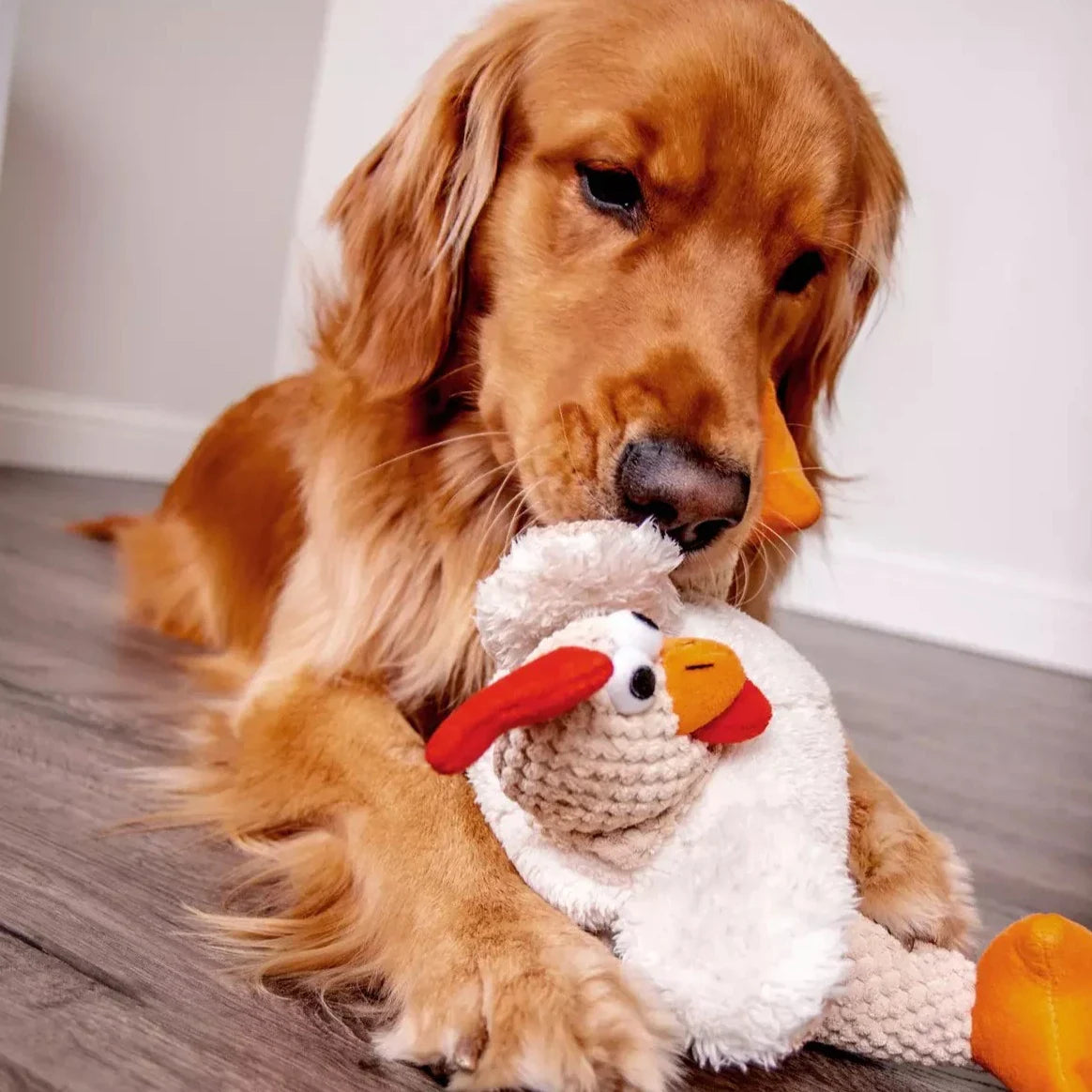 Checkers Squeaky Plush Dog Toy: Built to Last with Chew Guard Technology