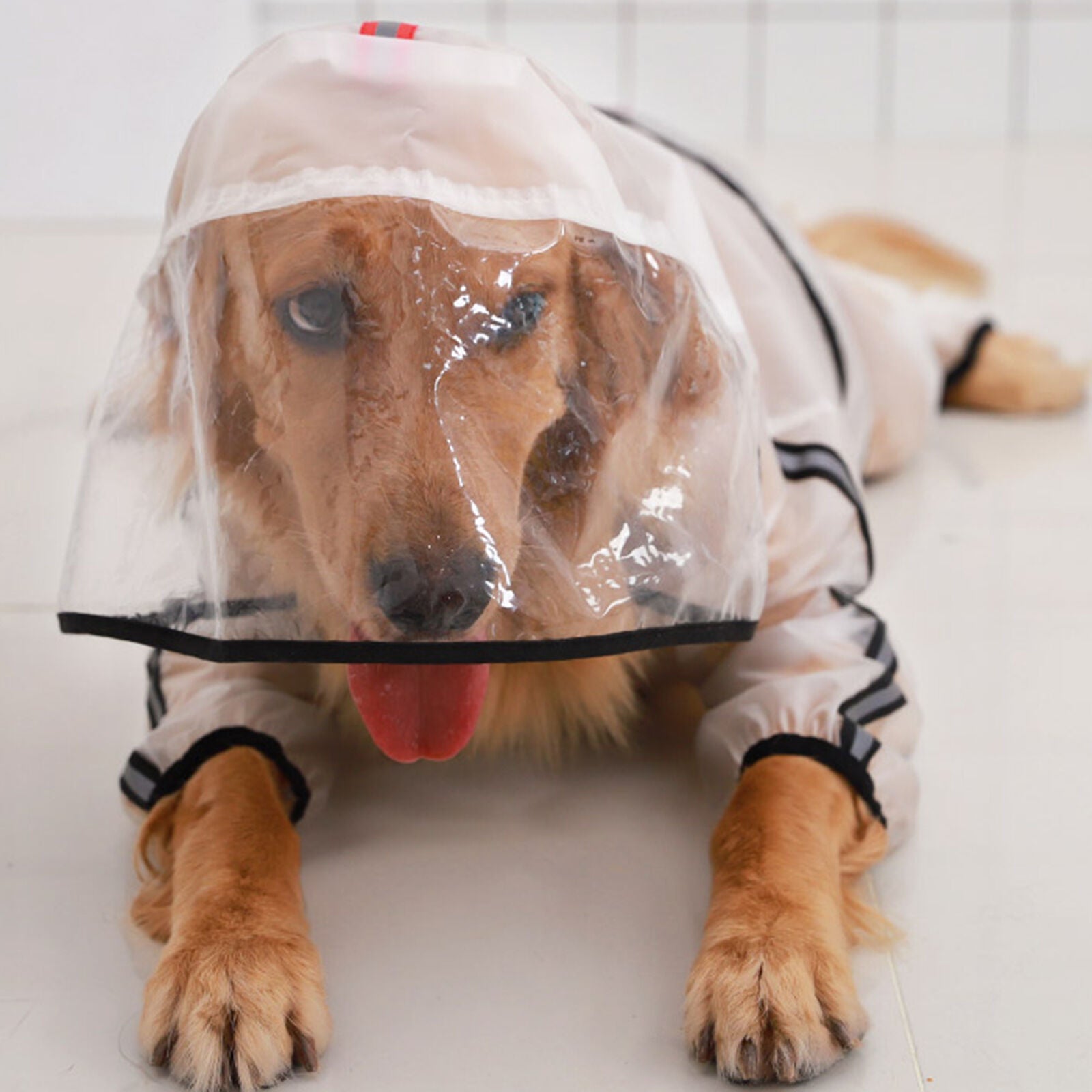Stay Dry in Style: Four-Legged Waterproof Transparent Pet Dog Raincoat