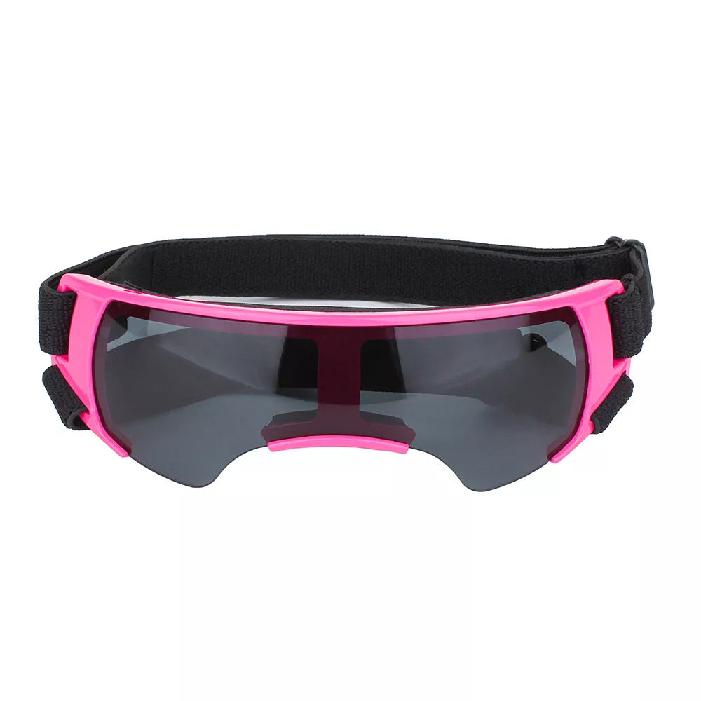 Stylish Eye Protection: Pet Dog Goggles