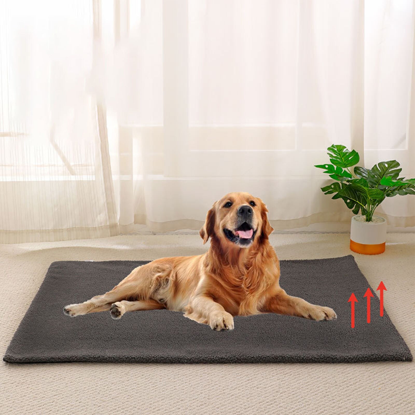 Adjustable Heating Pad for Cats and Dogs - Keep Your Pets Warm and Cozy