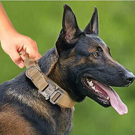 Tactical Military Dog Collar