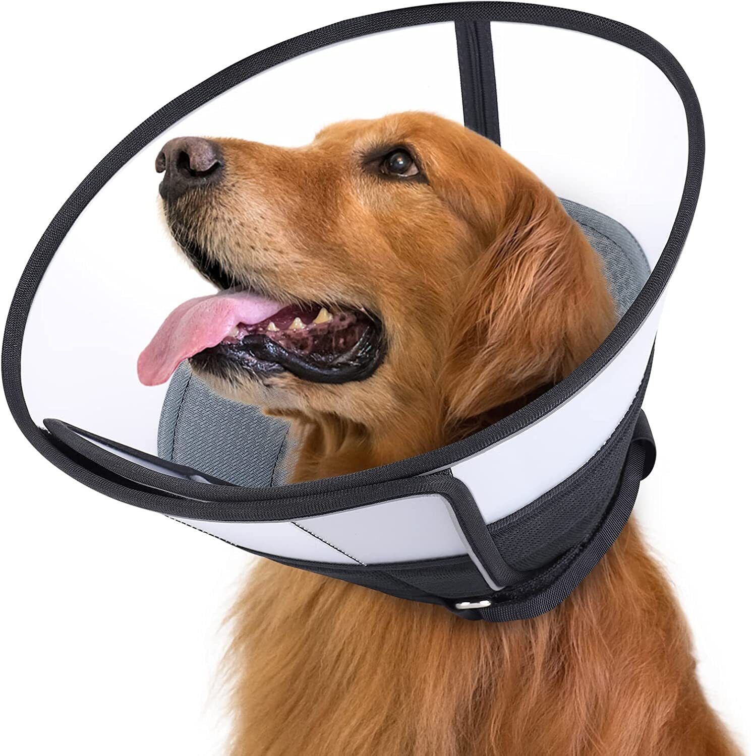 Comfortable Recovery for Your Pet: Dog Cone