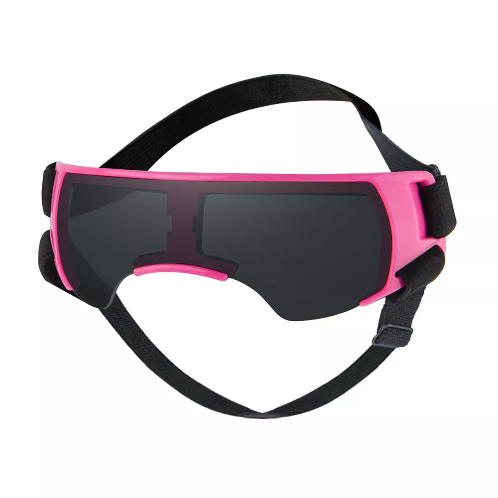 Stylish Eye Protection: Pet Dog Goggles